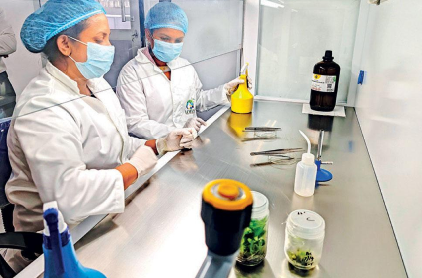  Lotus Group establishes the first private tissue culture lab in Sri Lanka focused on exports