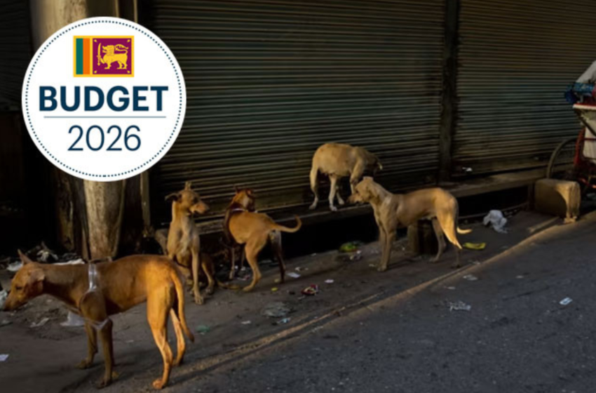  Sri Lanka’s 2026 budget includes money for pet cemeteries and cremation services